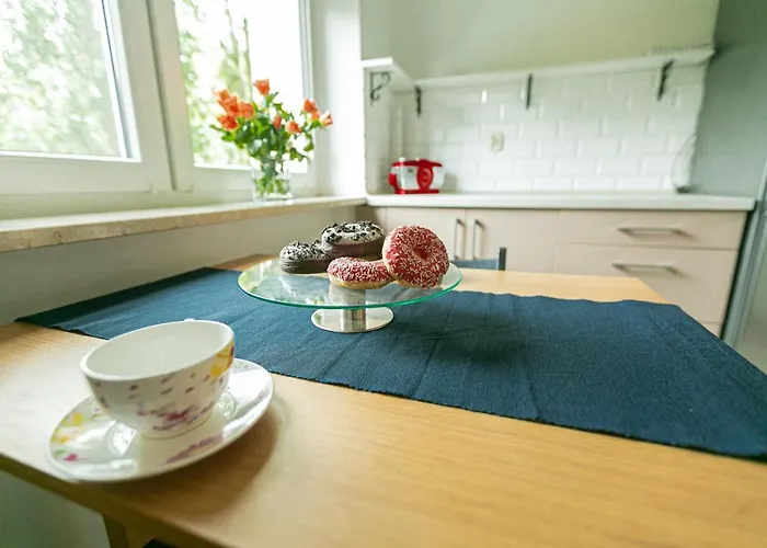 Apartament W Centrum Vi 公寓 *